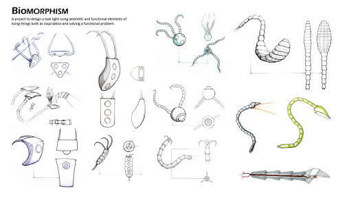 Biomorphic Design – Matt Rottinghaus